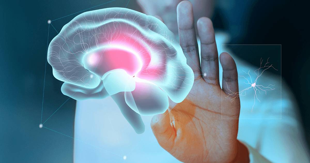 Neuroplasticity 10 ways to rewire your brain TrendRadars